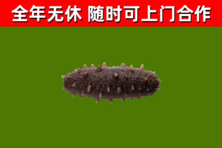 福州市烟酒回收干海参.jpg